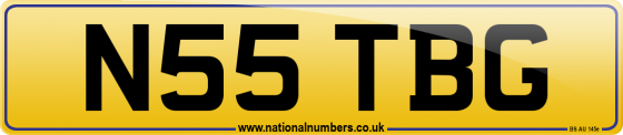 N55 TBG