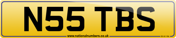 N55 TBS