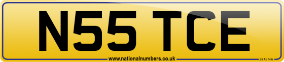 N55 TCE