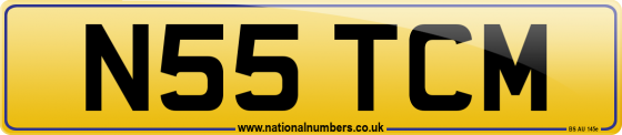 N55 TCM