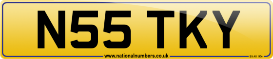 N55 TKY