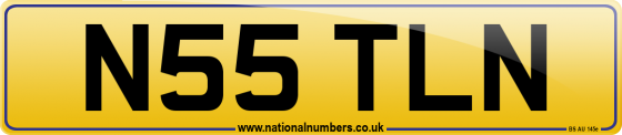 N55 TLN
