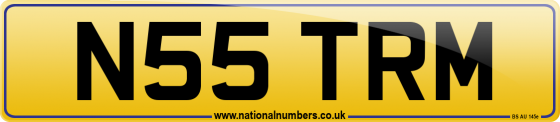 N55 TRM