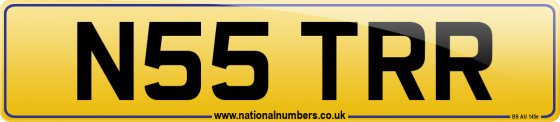 N55 TRR