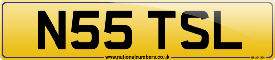 N55 TSL