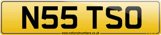 N55 TSO
