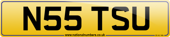 N55 TSU