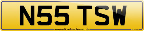 N55 TSW