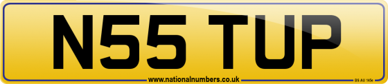 N55 TUP