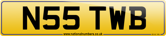 N55 TWB