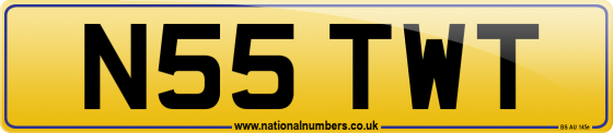 N55 TWT