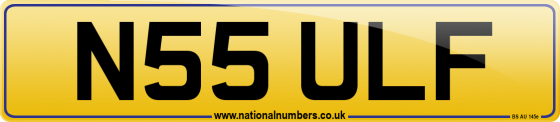 N55 ULF