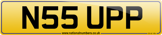 N55 UPP