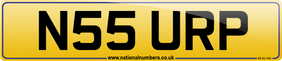 N55 URP
