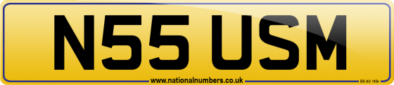 N55 USM