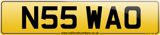 N55 WAO