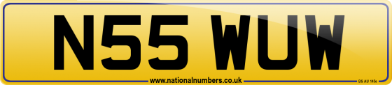 N55 WUW