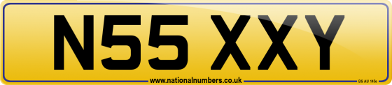 N55 XXY