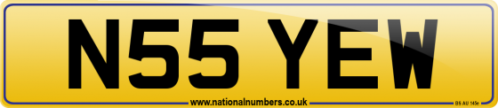 N55 YEW