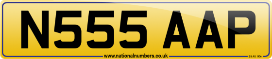 N555 AAP