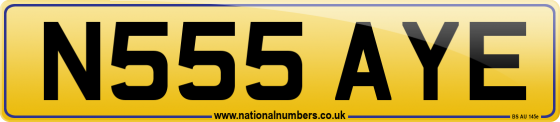 N555 AYE