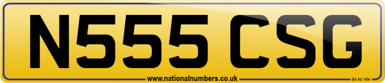N555 CSG