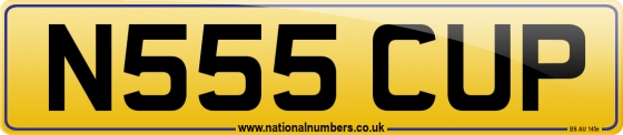 N555 CUP