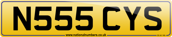 N555 CYS