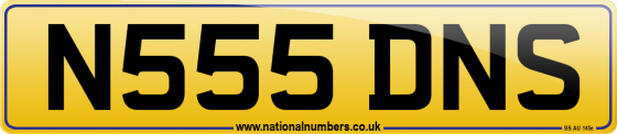N555 DNS