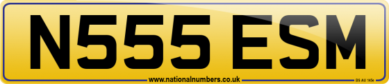 N555 ESM