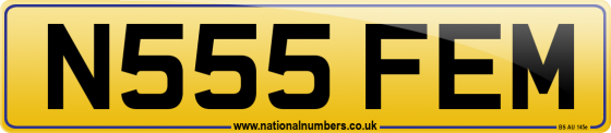 N555 FEM