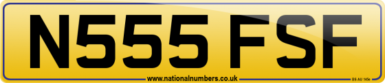 N555 FSF