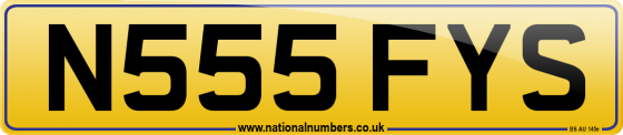 N555 FYS