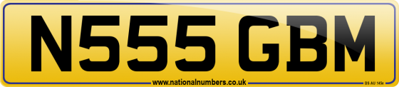 N555 GBM