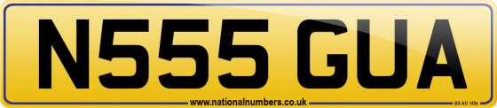 N555 GUA