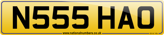 N555 HAO