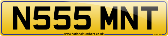 N555 MNT