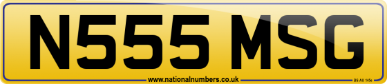 N555 MSG