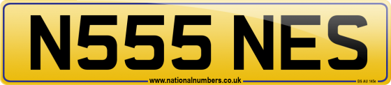 N555 NES