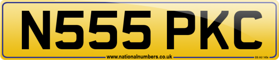 N555 PKC