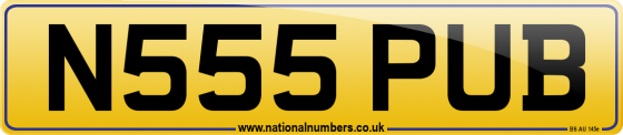 N555 PUB