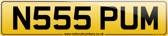 N555 PUM