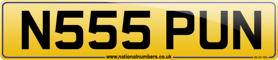 N555 PUN