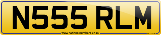 N555 RLM