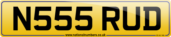 N555 RUD