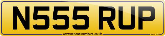 N555 RUP