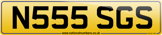 N555 SGS