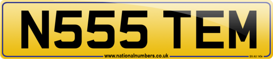 N555 TEM