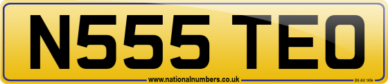 N555 TEO