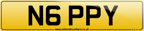 N6 PPY
